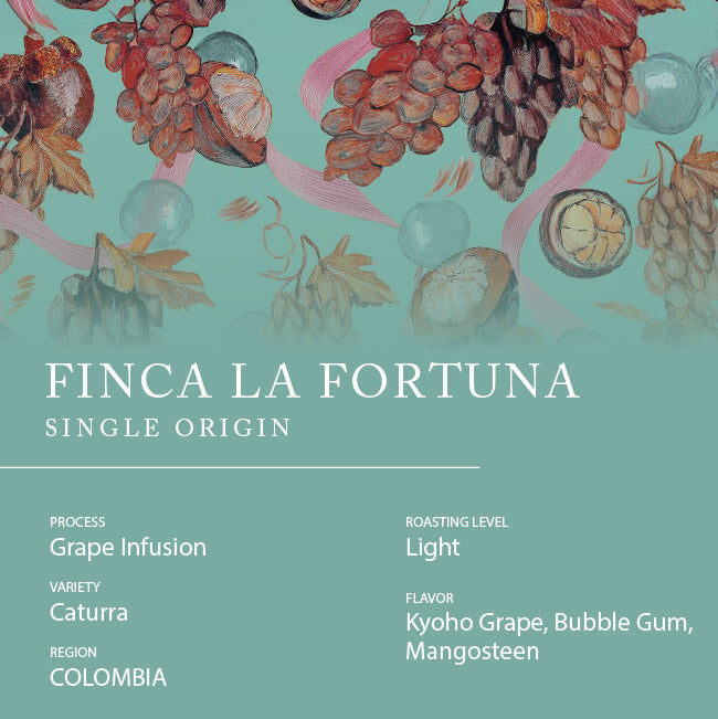 Single Origin - COLOMBIA Finca La Fortuna